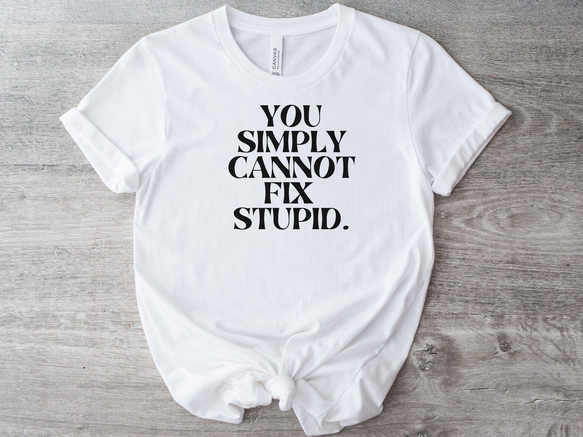 You Can Not Fix Stupid -Funny T-Shirt, Funny tshirt Funny tshirt for women, Funny T-Shirt for women, Funny Sarcastic Tee, Funny Mom Shirts